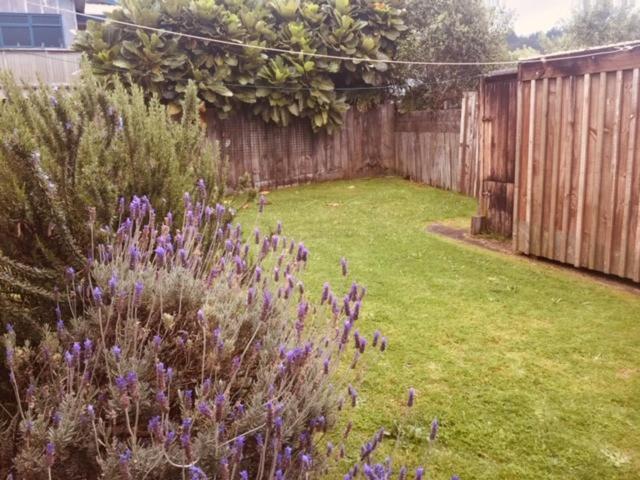 Mollies Place - Waihi Beach Holiday Unit Екстер'єр фото